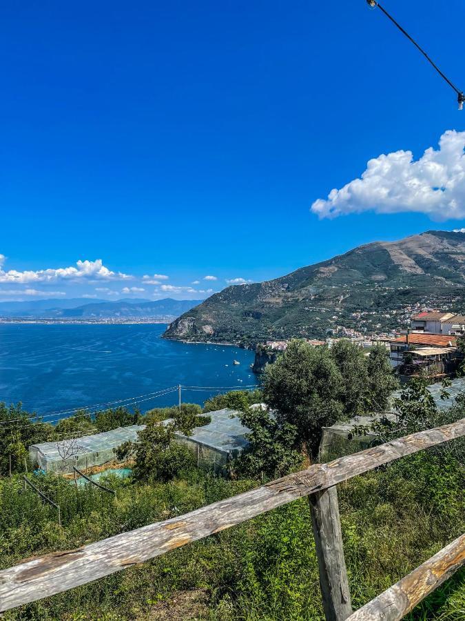 Antica Tenuta Celotto Vico Equense Exteriér fotografie