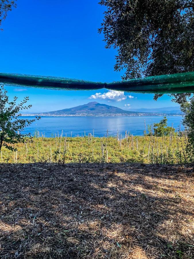 Antica Tenuta Celotto Vico Equense Exteriér fotografie