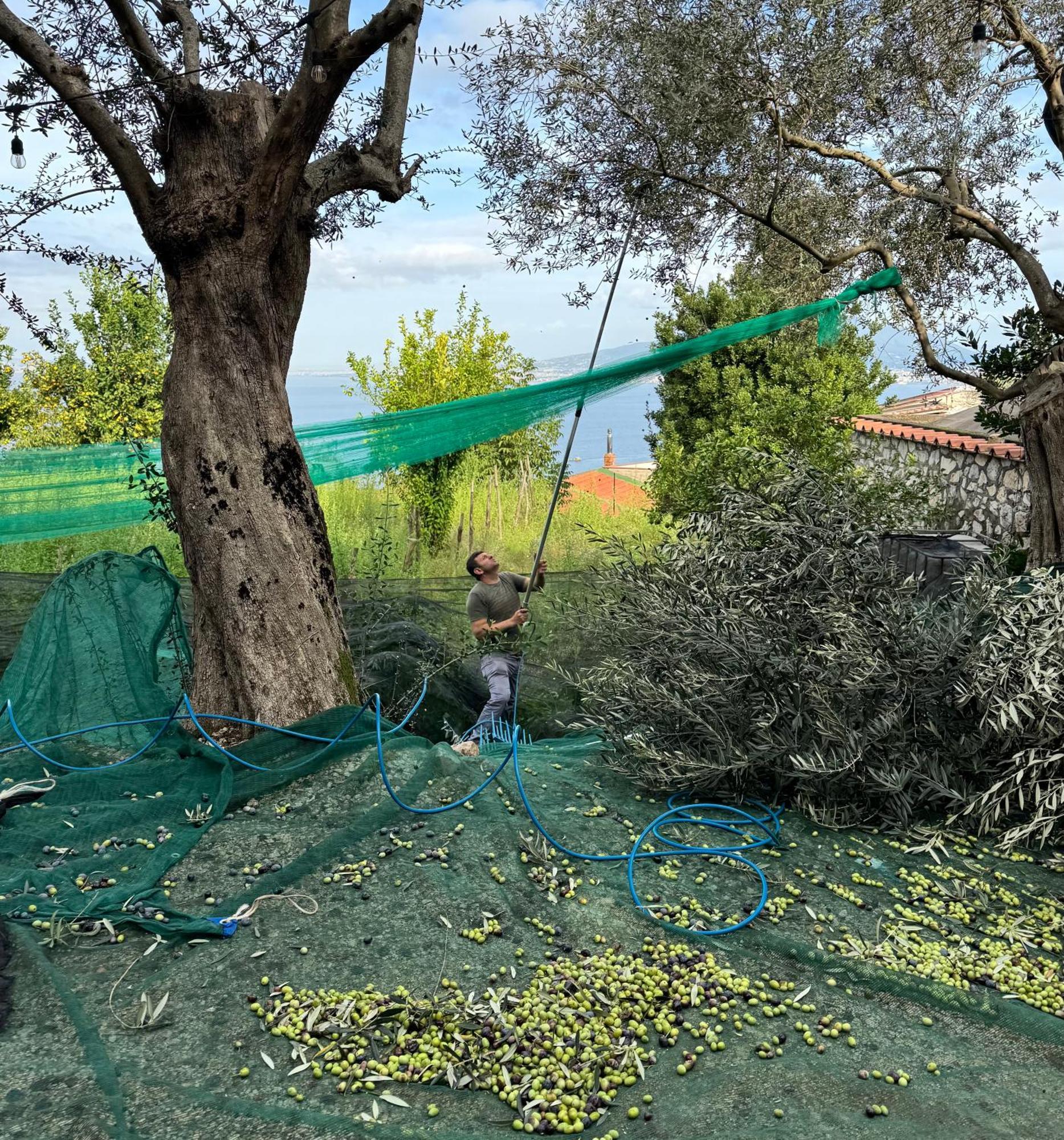 Antica Tenuta Celotto Vico Equense Exteriér fotografie